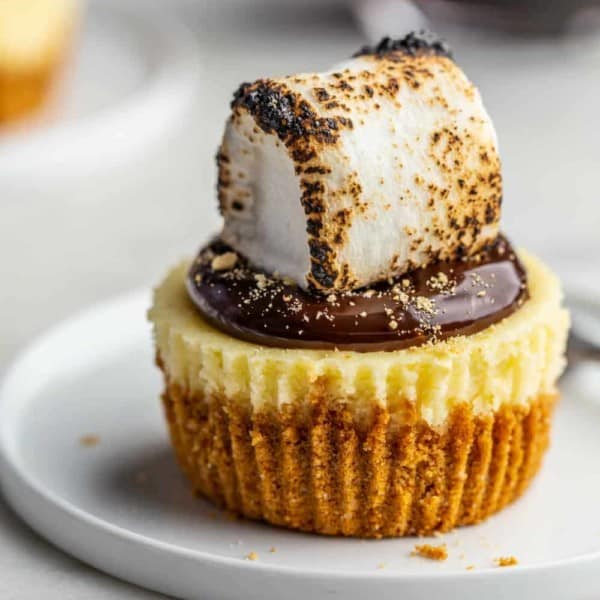 Plated mini cheesecake topped with hot fudge sauce and a toasted marshmallow