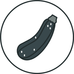 Illustration of a zucchini.